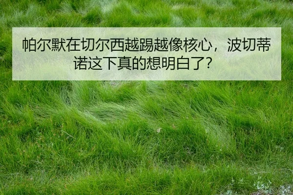 帕尔默在切尔西越踢越像核心，波切蒂诺这下真的想明白了？