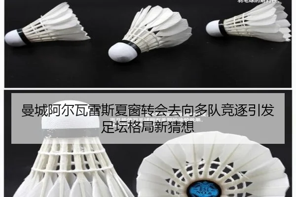曼城阿尔瓦雷斯夏窗转会去向多队竞逐引发足坛格局新猜想