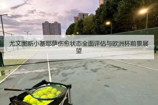 尤文图斯小基耶萨伤愈状态全面评估与欧洲杯前景展望