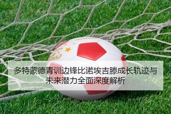 多特蒙德青训边锋比诺埃吉滕成长轨迹与未来潜力全面深度解析